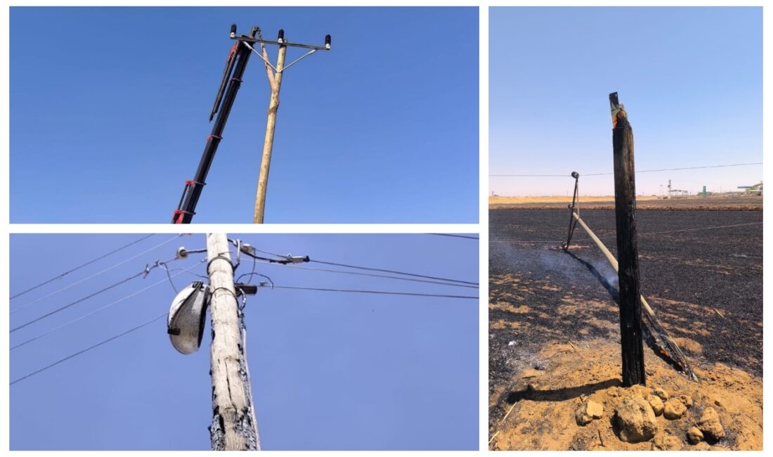 Şanlıurfa’da hasat sonrası yakılan anızlar, tarım alanlarının yanı sıra elektrik