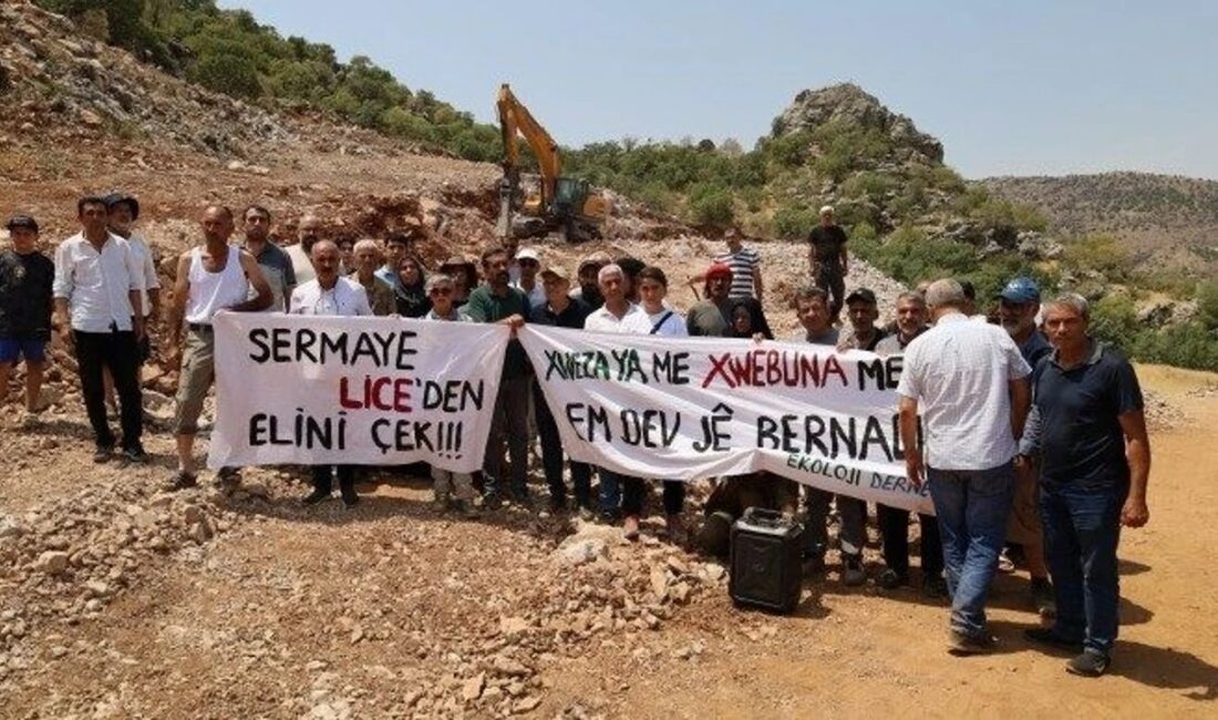 Diyarbakır 1’inci İdare Mahkemesi, Birkleyn Mağaraları yakınlarında planlanan maden projesine