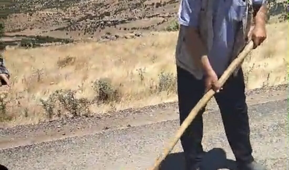 Diyarbakır'ın Çermik ilçesinde Pamuklu Mahalle yolu muhtar ve mahalle sakinleri