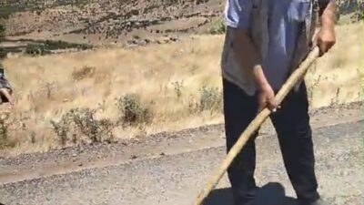 Diyarbakır'ın Çermik ilçesinde Pamuklu Mahalle yolu muhtar ve mahalle sakinleri