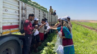 Diyarbakır Büyükşehir Belediyesi ekipleri, mevsimlik tarım işçilerinin çalışma koşullarını yerinde
