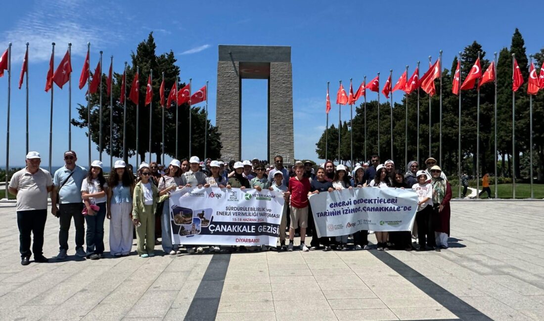 Dicle Elektrik, Diyarbakır İl Millî Eğitim Müdürlüğü iş birliğiyle hayata