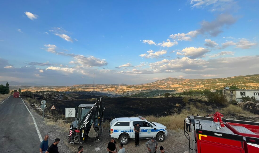Diyarbakır'ın Lice ilçesinde zirai ve ormanlık alanda çıkan yangın, yaklaşık