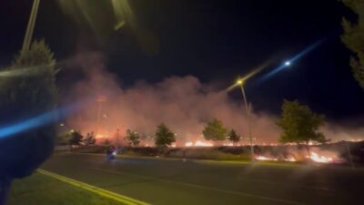 Diyarbakır'ın Kayapınar ilçesinde otluk alanda çıkan yangın paniğe neden oldu.