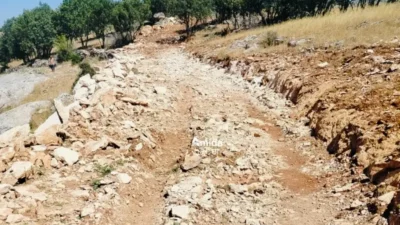 Diyarbakır’ın Dicle ilçesine bağlı Üzümlü Mahallesi’nde yol olmaması, bir kemoterapi