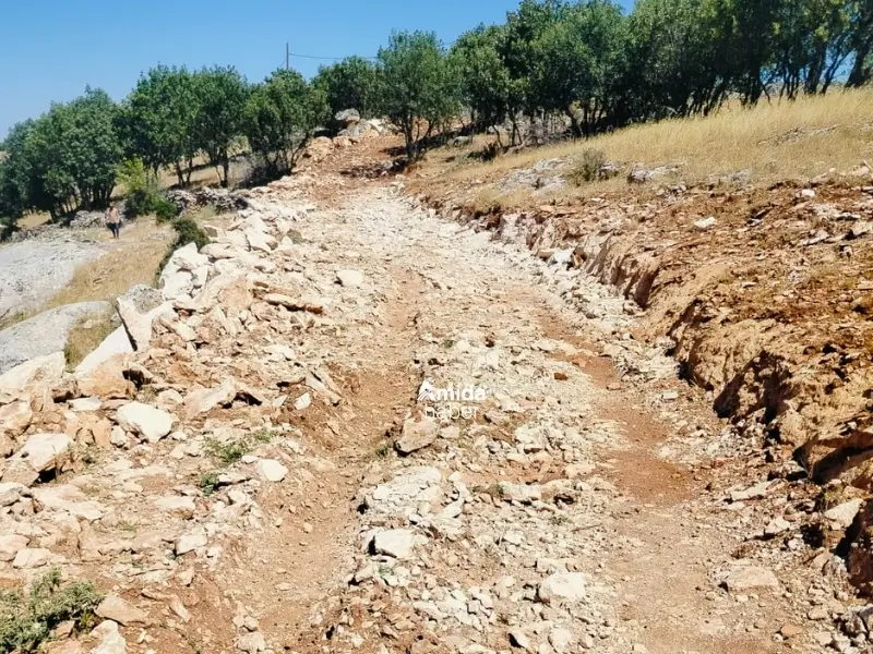 Diyarbakır’ın Dicle ilçesine bağlı Üzümlü Mahallesi’nde yol olmaması, bir kemoterapi