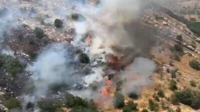 Diyarbakır'ın Hani, Lice ve Hazro ilçelerinde çıkan örtü ve orman