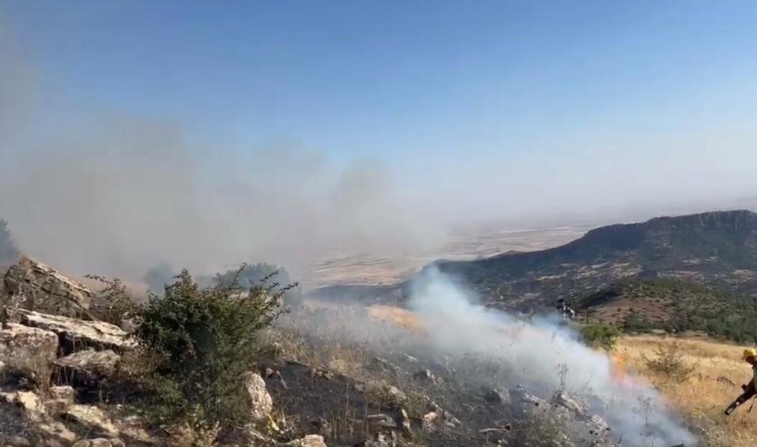 Diyarbakır'ın Hazro ilçesinde çıkan örtü yangını söndürüldü.