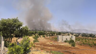 Diyarbakır'ın Dicle ilçesinde çıkan örtü yangınına ekiplerine söndürme çalışmaları devam