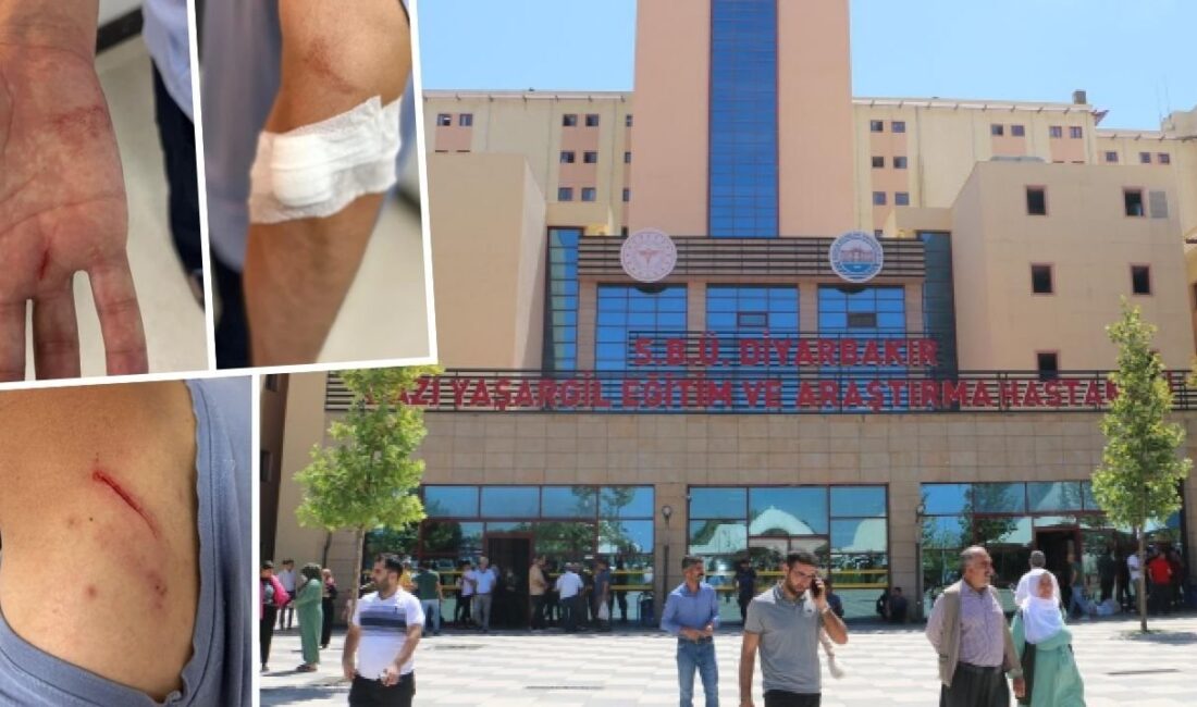 Diyarbakır Gazi Yaşargil Eğitim ve Araştırma Hastanesi'nde randevusuz muayene olmak