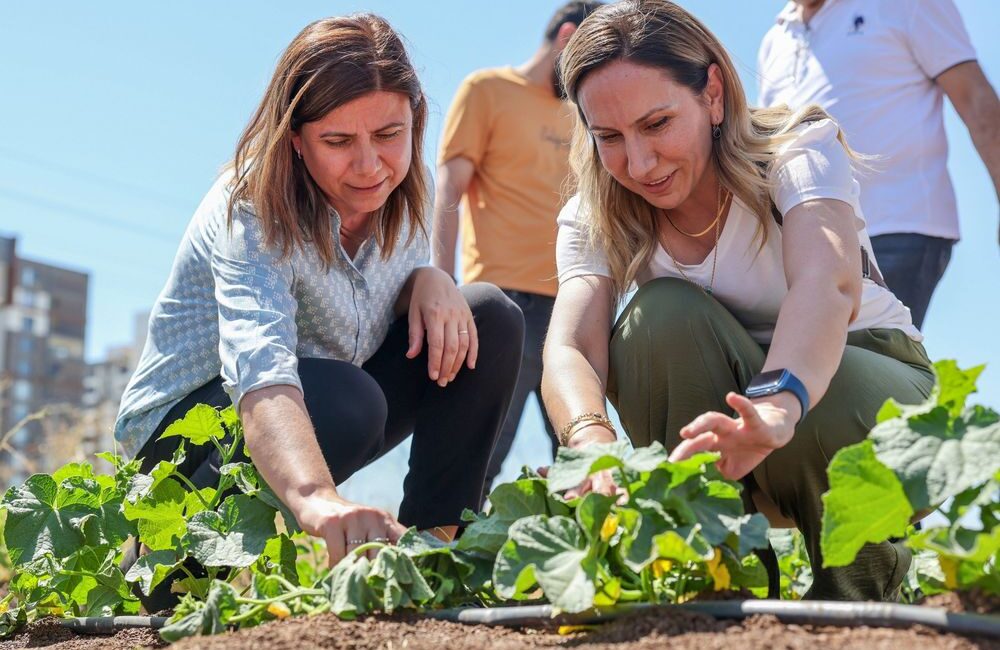 Diyarbakır Büyükşehir Belediyesi Eşbaşkanı Serra Bucak, Tıbbi Aromatik Bitki Üretim