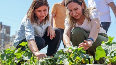Diyarbakır Büyükşehir Belediyesi Eşbaşkanı Serra Bucak, Tıbbi Aromatik Bitki Üretim