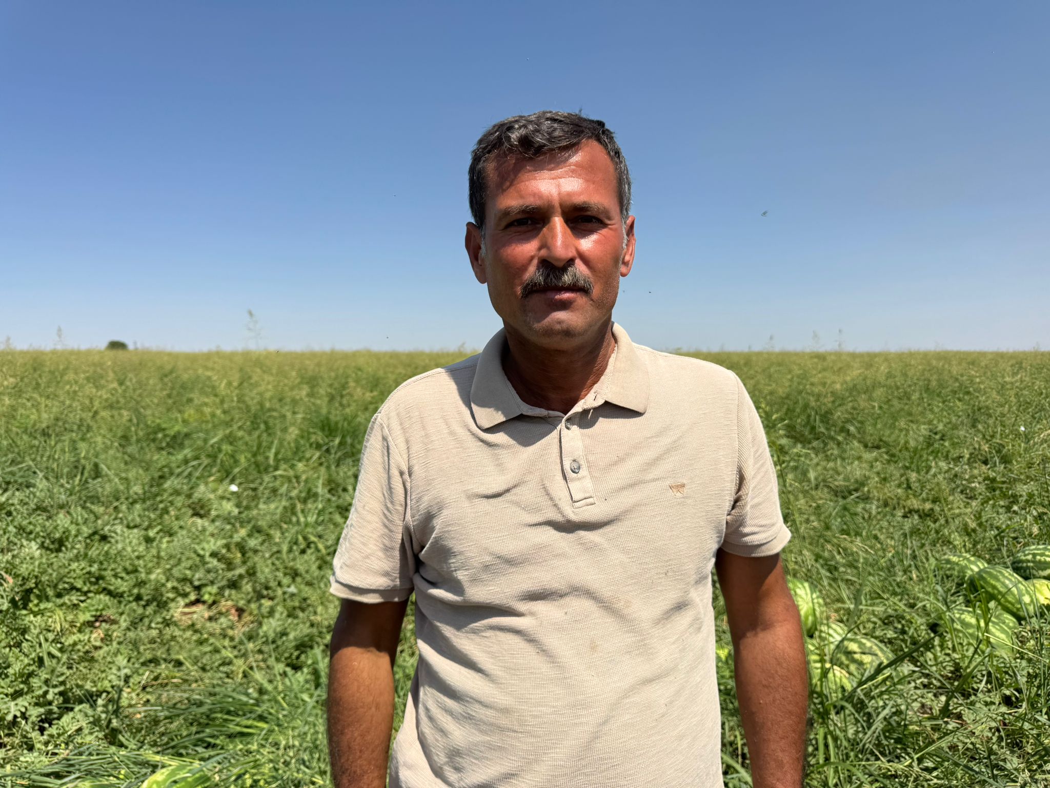 Diyarbakır karpuzunda hasat sezonu başladı