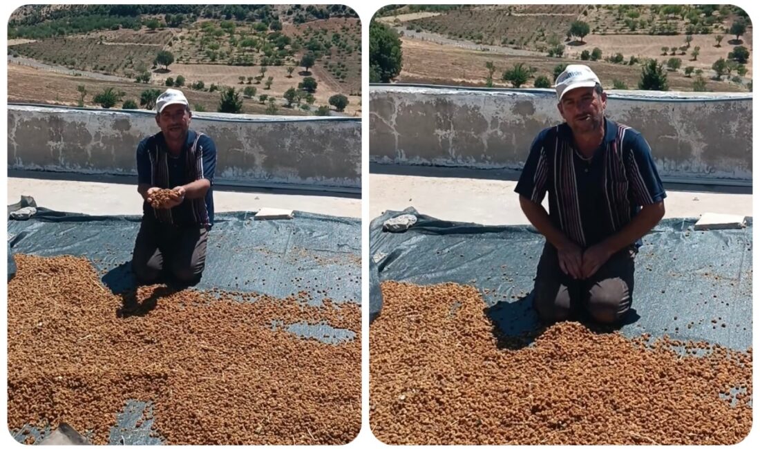 Meyve ve sebzeleriyle meşhur Diyarbakır'ın Çermik ilçesinde toplandıktan sonra kurutulan