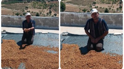 Meyve ve sebzeleriyle meşhur Diyarbakır'ın Çermik ilçesinde toplandıktan sonra kurutulan