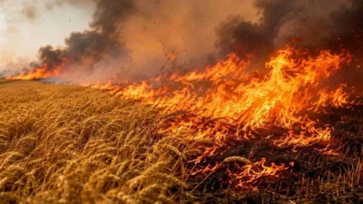 Diyarbakır'ın Silvan ilçesine bağlı Sulak  Mahallesi kırsalında çıkan yangın, rüzgarın