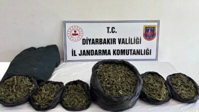Diyarbakır'da jandarma ekiplerince düzenlenen operasyonlarda 41 kilo esrar maddesi ele