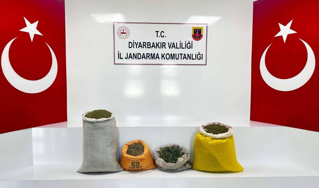 Diyarbakır’da jandarma ekiplerince düzenlenen operasyonlarda 144 kilo esrar ele geçirildi.