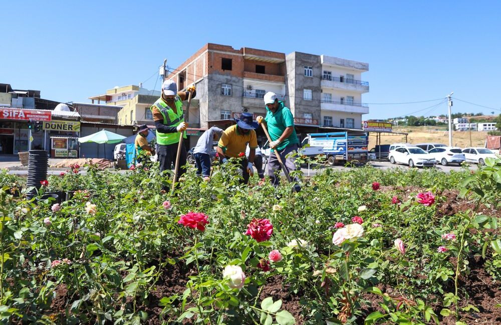 Diyarbakır Büyükşehir Belediyesi, Mardin–Diyarbakır yolu güzergâhında yürüttüğü peyzaj ve çevre