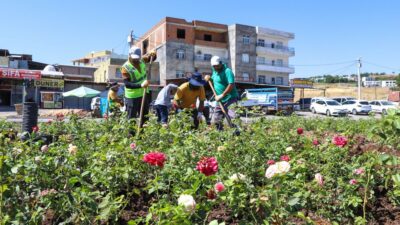 Diyarbakır Büyükşehir Belediyesi, Mardin–Diyarbakır yolu güzergâhında yürüttüğü peyzaj ve çevre