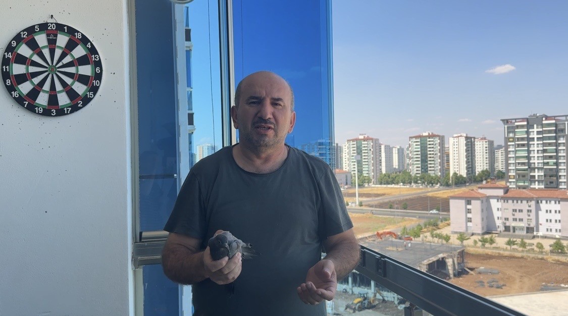 Diyarbakır'da bir evin asma tavanda mahsur kalan güvercin kurtarıldı