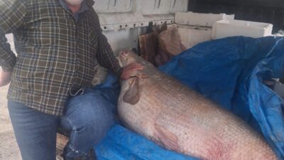Diyarbakır'ın Çermik ilçesinde av yasağının bittiği gün 130 kilo ağırlığında