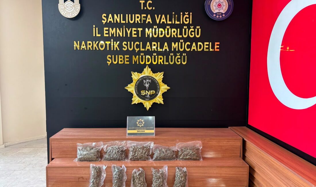 Şanlıurfa'da polis ekiplerince durdurulan bir araçta 2 kilo 600 gram