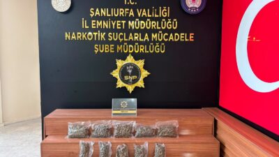 Şanlıurfa'da polis ekiplerince durdurulan bir araçta 2 kilo 600 gram