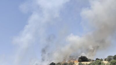 Diyarbakır’ın Çermik ilçesinde yerleşim yerine yakın ağaçlık alanda çıkan yangın,