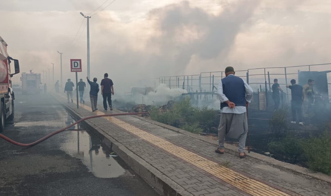 Diyarbakır'ın merkez Kayapınar ilçesinde çıkan anız yangını, rüzgarın etkisiyle çevresindeki
