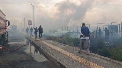 Diyarbakır'ın merkez Kayapınar ilçesinde çıkan anız yangını, rüzgarın etkisiyle çevresindeki