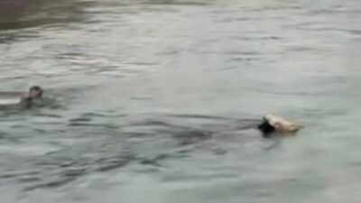 Diyarbakır'ın Eğil ilçesinde bir kişi, su kanalına atlayarak mahsur kalan