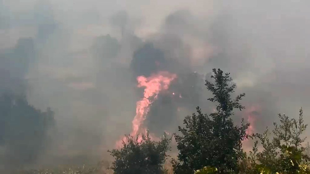 Diyarbakır'da örtü ve orman yangınında geniş alanlar zarar gördü