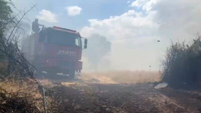 Diyarbakır'ın Lice ilçesinde çıkan örtü ve orman yangınında geniş alan