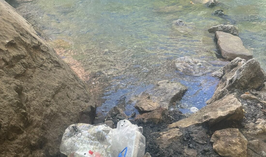 Diyarbakır’ın Çermik ilçesi Sinek Çayı bölgesinde çevreye bırakılan çöpler vatandaşların