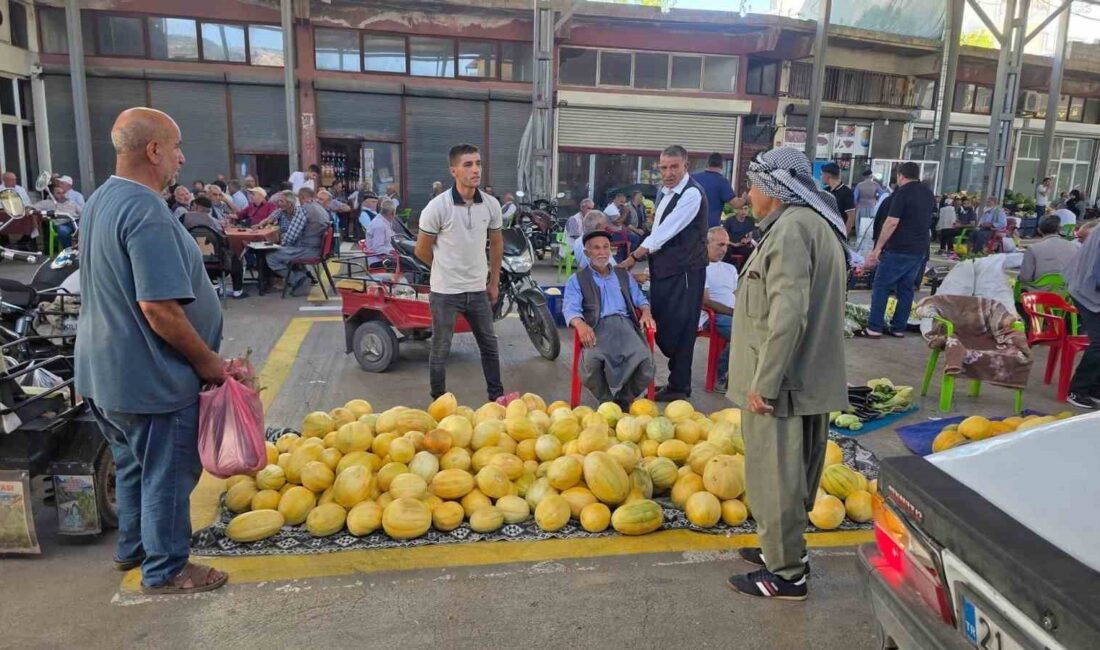 Diyarbakır’ın Çermik ilçesinde, "temuhane kavunu" olarak bilinen meşhur ilçenin kavunu