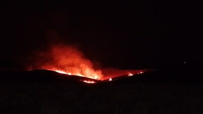 Diyarbakır’ın Silvan ilçesinde çıkan anız ve örtü yangınını söndürmek için