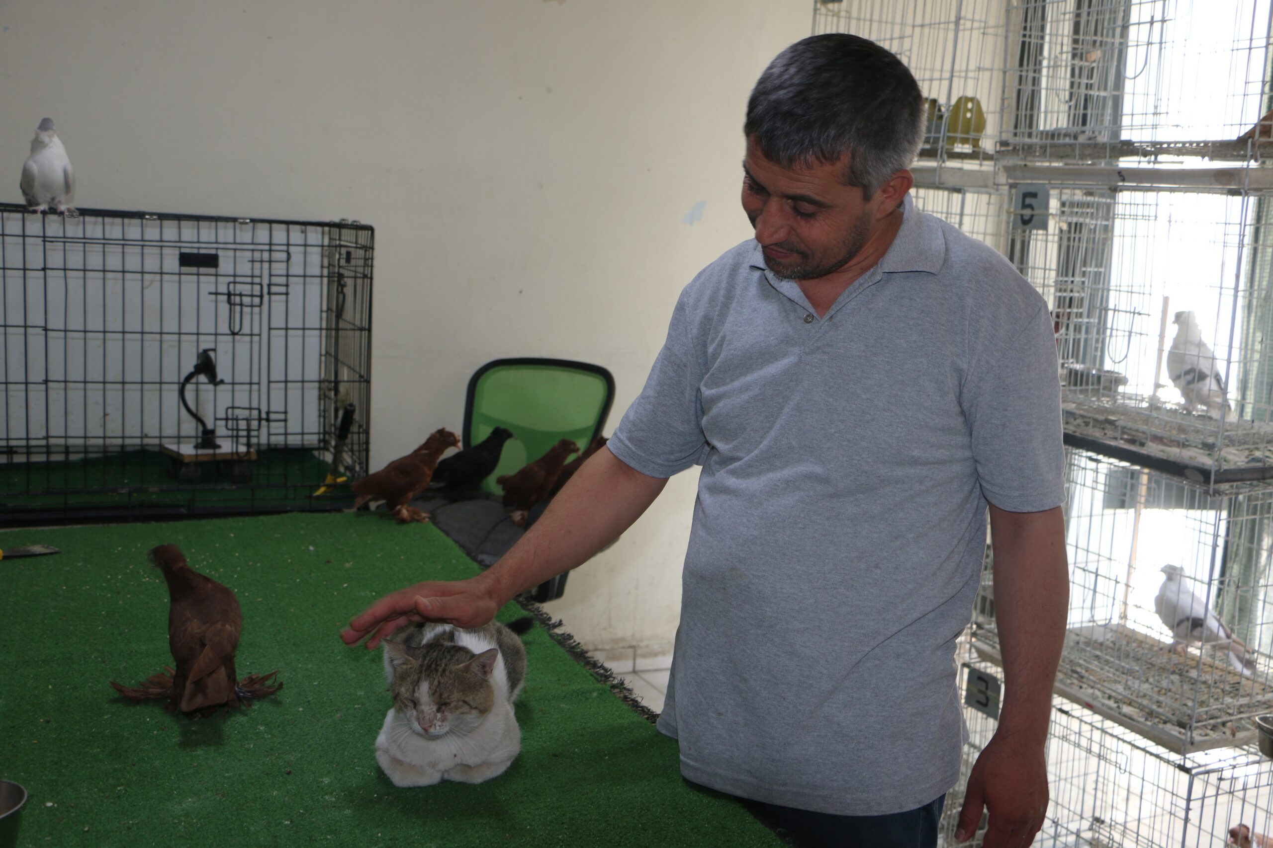 Diyarbakır’da Milyonluk güvercinleri 'azılı düşmanları' koruyor