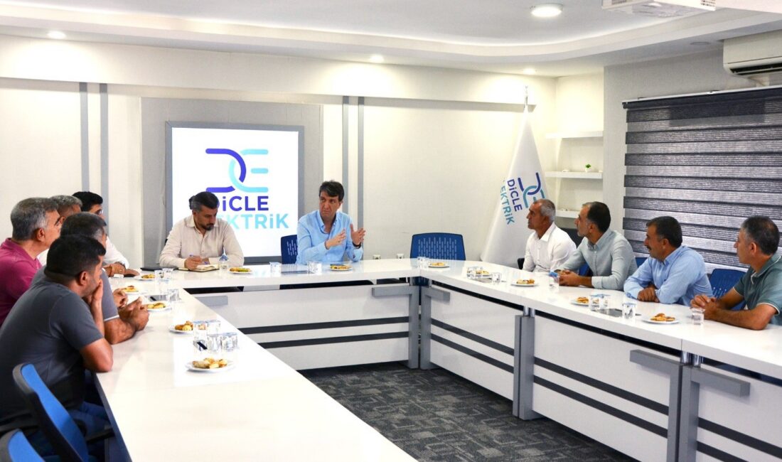 Dicle Elektrik, Diyarbakır'ın Kocaköy ilçesinde 40 milyon lira yatırımla 370