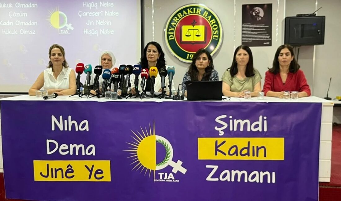 Diyarbakır’daki sivil toplum örgütleri, Meclis’e gelecek çerçeve yasaya dair Diyarbakır