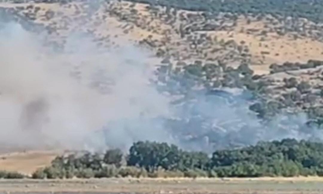 Diyarbakır’ın Silvan ilçesinde ağaçlık alanda çıkan yangın, ekiplerin müdahalesi ile