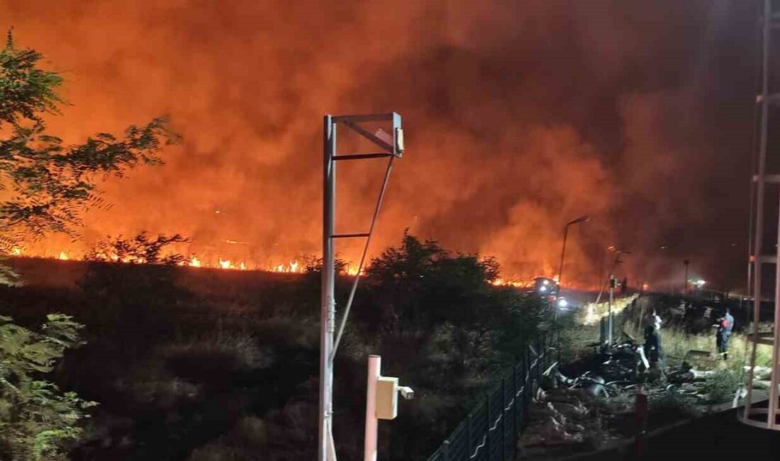 Diyarbakır’ın Çınar ilçesinde geceyi aydınlatan anız yangını söndürüldü.