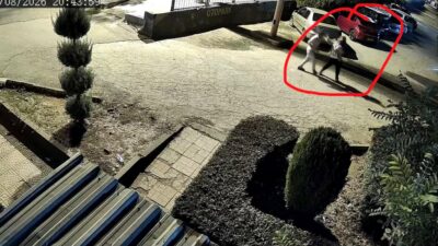 Diyarbakır'ın Yenişehir ilçesinde kucağında çocuğu varken eşinin silahlı saldırısına uğrayan