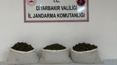 Diyarbakır'da düzenlenen operasyonda 19.4 kilo esrar maddesi ele geçirilirken, 33