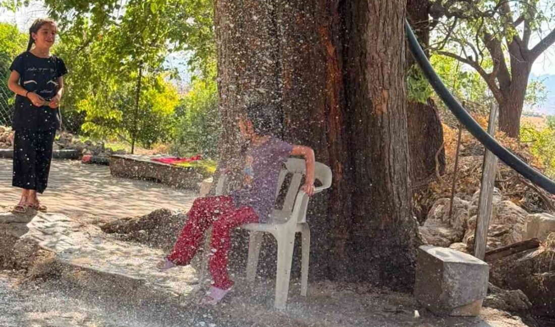 Diyarbakır’ın Çermik ilçesinde sıcaktan bunalan vatandaş, çözümü ağaçtan sarkıttığı hortumdan