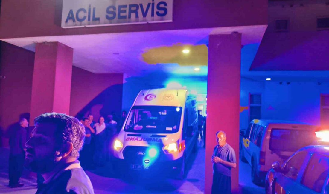 Diyarbakır’ın Çüngüş ilçesinde huysuzlaşan inek, sahibini boynuzlayarak ağır yaraladı.