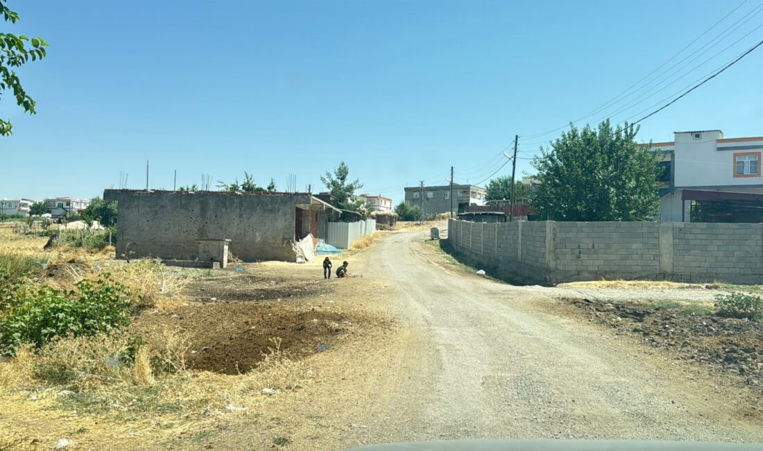 Diyarbakır'ın merkez Sur ilçesinde kedinin ısırdığı çocuk entübe edildi, yapılan