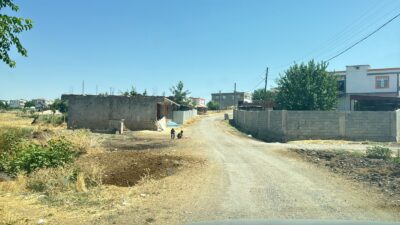 Diyarbakır'ın merkez Sur ilçesinde kedinin ısırdığı çocuk entübe edildi, yapılan