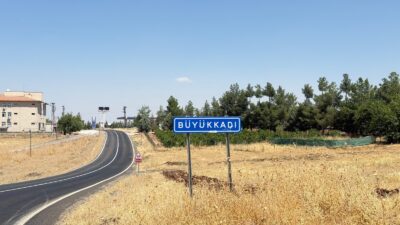 Diyarbakır Valiliği, Sur ilçesinde kuduz vakasının tespit edilmesinin ardından çalışma