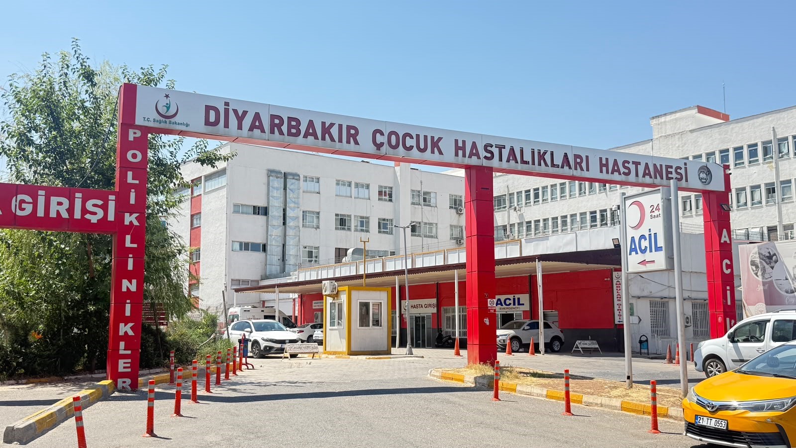 Diyarbakır'da kedinin ısırdığı çocuk entübe edildi, testlerde kuduz çıktı